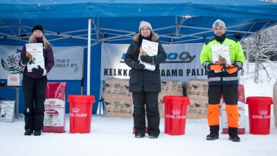 Parhaat arktiset
