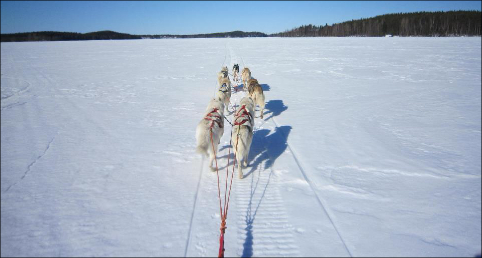 etusivukuva